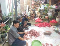 Pelaksanaan Qurban di Citeureup Libatkan Warga dan Tokoh Masyarakat Secara Gotong Royong