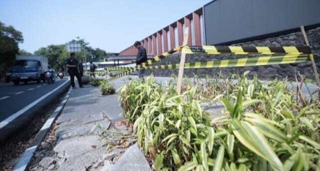 Pemkot Bandung Laporkan Dugaan Penebangan Liar Pohon di Jalan Riau ke Gubernur dan Kementerian